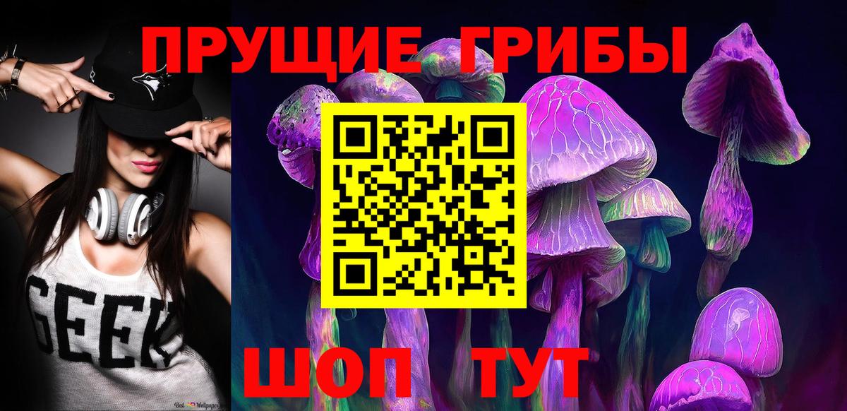 Псилоцибиновые грибы Psilocybine cubensis Долгопрудный